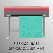 Oracal 651 mint
